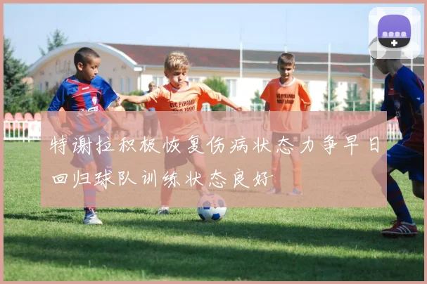 特谢拉积极恢复伤病状态力争早日回归球队训练状态良好